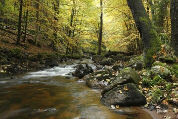 Bode river in the Elendstal valley, Harz, Saxony-Anhalt, Germany, Europe