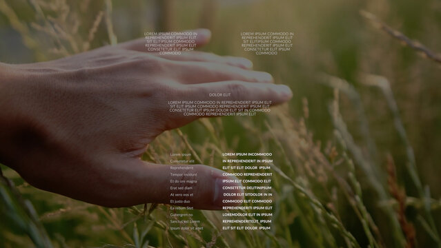 Film Credits 08