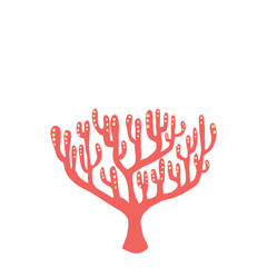 Coral Illsutration