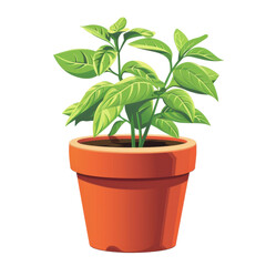 Green Potted Plant with Vibrant Leaves in Terracotta Pot
