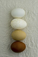 Different colored eggs in natural colors