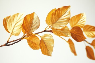 Naklejka premium A close-up shot of a branch with golden leaves against a white background, perfect for autumn or fall-themed designs