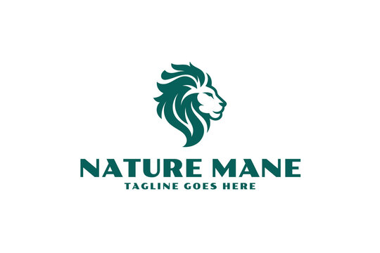 nature mane lion fire flame logo design template