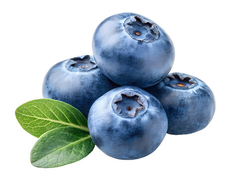pile blueberries and leaf isolated on transparent background PNG image