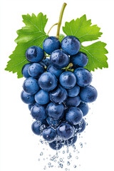 Fototapeta premium A cluster of floating grapes with droplets of water, isolated on white background.