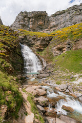 The stunning Cola de Caballo waterfall in Ordesa y Monte Perdido National Park, Spain, surrounded by lush greenery and rugged cliffs. A perfect spot for trekking, hiking, mountaineering, adventure.