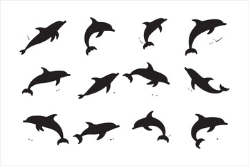 Obraz premium Majestic Dolphin Silhouette Mega 