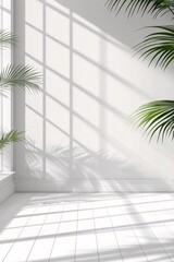 Minimalist white wall with palm leaf shadows and sunlight from window
