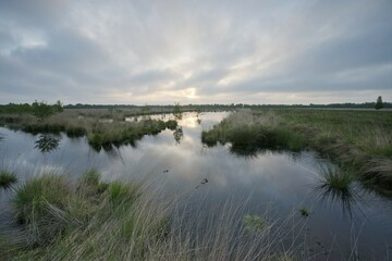 Moorland at dawn, Emsland, Lower Saxony, Germany, Europe