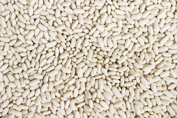 White dried beans