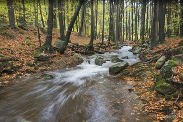 Ilsetal valley, river Ilse, Ilsenburg, Saxony-Anhalt, Germany, Europe