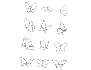 Beautiful Butterfly line art Icon set