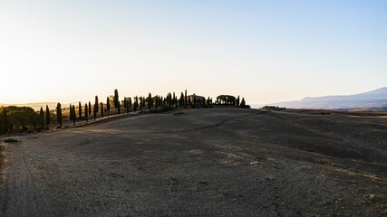 Country house with cypress avenue on a hill, first morning sun, drone shot, near Pienza, Tuscany,...