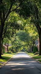 Obraz premium Sunlit residential street lined with lush green trees.