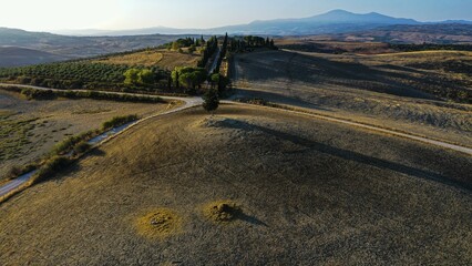 Country house with cypress avenue in morning light, drone shot, near Pienza, Tuscany, Italy, Europe