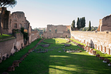 Ancient ruins of Palatine Hill in Rome with grass and stone relics