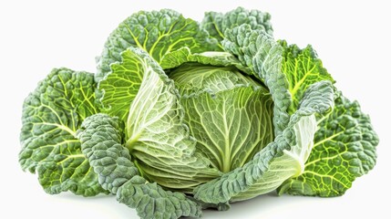 Obraz premium Bright green cabbage (Brassica oleracea Savoy) with detailed leafy structure, AI generated