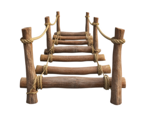 narrow footbridge made of logs and rope, showcasing rustic design. This simple structure evokes sense of adventure and connection to nature