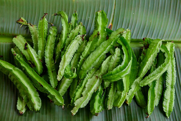 Pile of fresh Winged bean on leaf