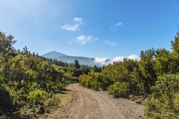 Gravel road, hiking trail, in the back volcano Pico del Teide, Teide National Park, Parque Nacional...