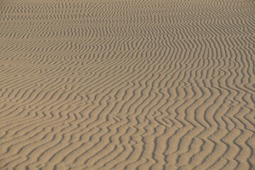 Structures in the sand, Parque Natural de Corralejo, Fuerteventura, Canary Islands, Spain, Europe