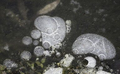 Air inclusions, air bubbles in the ice, Hesse, Germany, Europe
