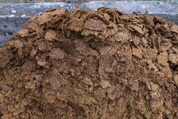 Pomace, solid residues after pressing fruit juice, must factory, Franconia, Bavaria, Germany, Europe
