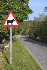 Street sign, caution sheep, Pitlochry, Scotland, United Kingdom, Europe