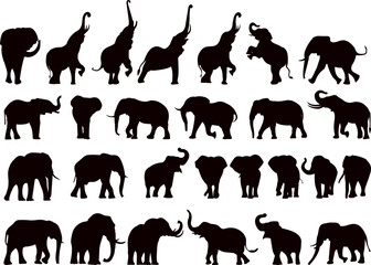 elephants in different poses set black silhouette vector