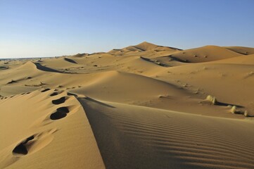 Desert, sand dune of Erg Chebbi, Morocco, Africa