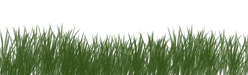 Digitally rendered grass isolated on white background