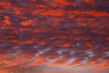 Red cloudy sky at sunset, Schleswig-Holstein, Germany, Europe