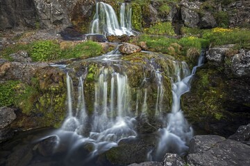River Dynjandisá at the waterfall Dynjandifoss, long exposure, Westfjords, Iceland, Europe