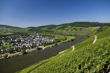 Townscape, Pünderich an der Mosel, Rhineland-Palatinate, Germany, Europe