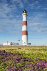 Tarbat Ness lighthouse on the Moray Firth, Scotland, United Kingdom, Europe