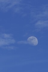Waxing Moon, blue sky, Bavaria, Germany, Europe