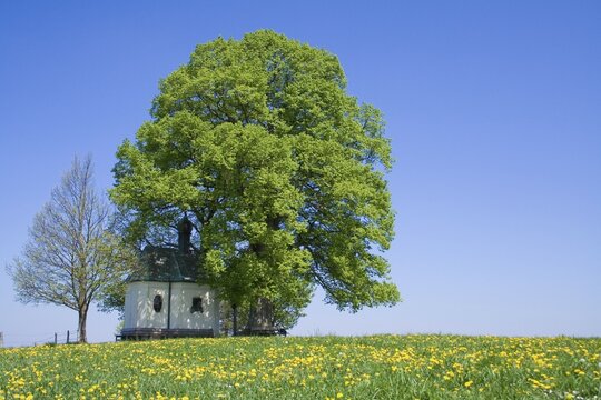 Maria Dank Chapel, Degerndorf, Upper avaria, Bavaria, Germany, Europe