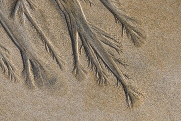 Structures in sand on sandy beach, Fuerteventura, Canary Islands, Spain, Europe