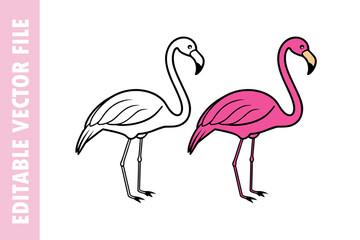 pink and line art flamingo vector, Vector flat flamingo silhouette isolated on white background