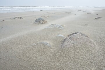 Stones and windblown sand on the sandy beach of Langeoog, East Frisia, Lower Saxony, Germany, Europe