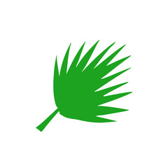 tropical leaves illustration
