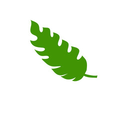 tropical leaves illustration
