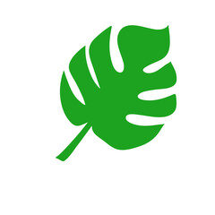 tropical leaves illustration

