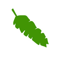 tropical leaves illustration
