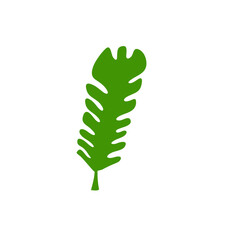 tropical leaves illustration
