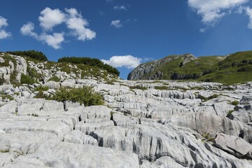 Weathered rocks, karst landscape, Steinernes Meer, Lechquellen Mountains, Vorarlberg, Austria,...