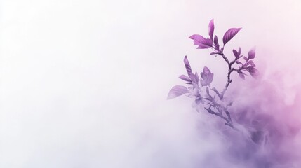 Obraz premium Gentle Elegance A Serene Misty Scene Featuring Delicate Purple Leave