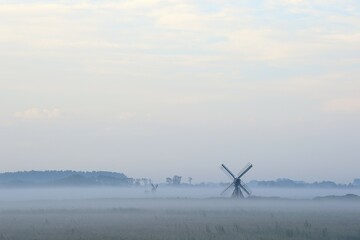 Small windmill with ground fog, Texel, North Holland, Netherlands