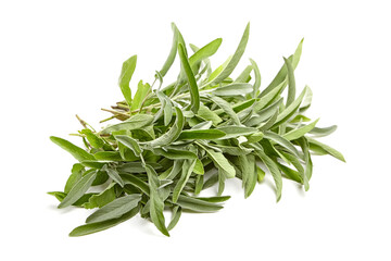 A large bundle of fresh sage leaves with vibrant green color and soft texture. Ideal for culinary, herbal, and aromatic uses