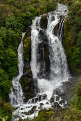 Obraz premium waterfall in the forest